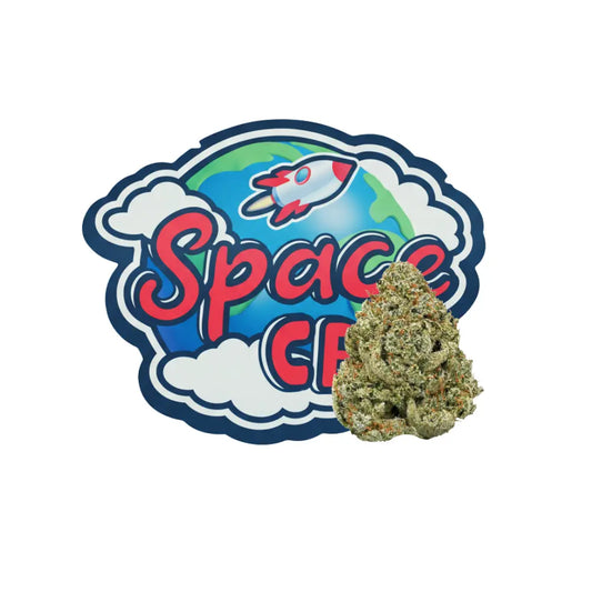 Lemon CBD+ Space CBD France