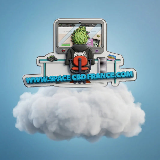 Sticker Site Space CBD Space CBD France