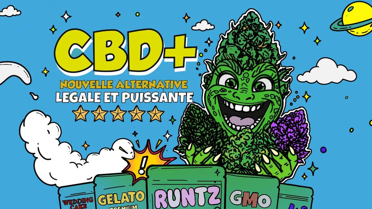 Bannière promotionnelle CBD+ annonçant une "Nouvelle alternative légale et puissante", illustrée avec une mascotte en fleur de chanvre et un assortiment de pochons (Wedding Cake, Gelato, Runtz, GMO).