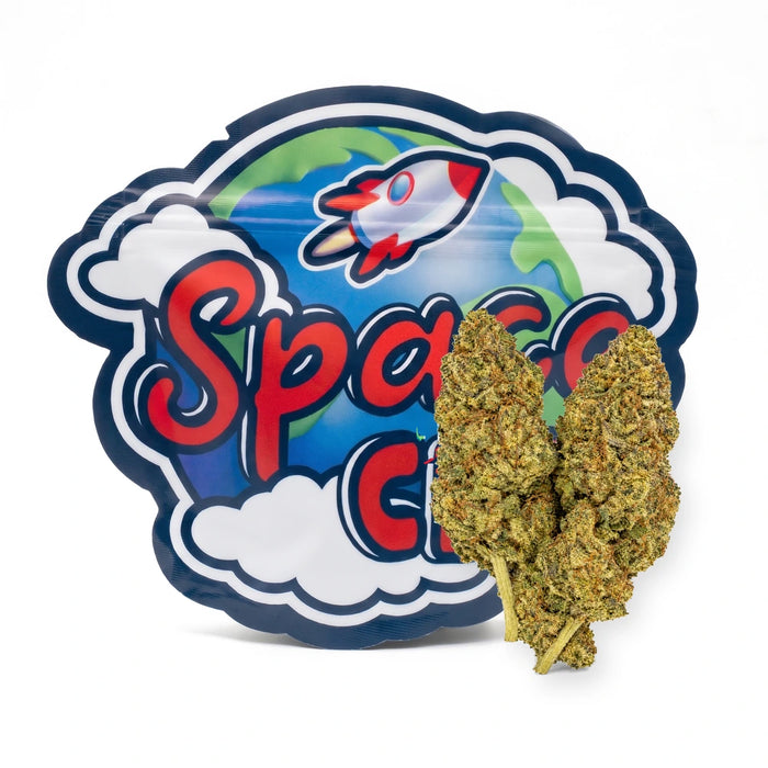 MAC 41 CBD+