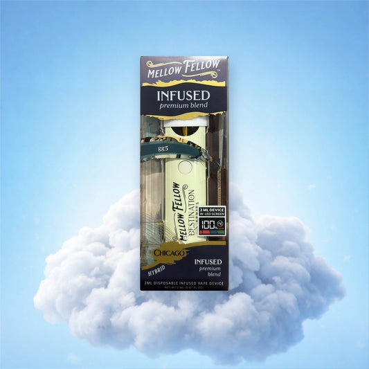 Mellow Fellow Chicago gg5 — puff jetable 2 ML dans son étui transparent, sur fond de nuage