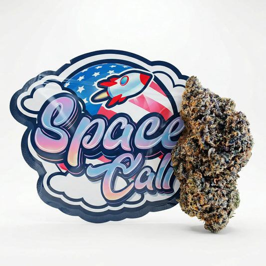 Space Signature Space CBD France
