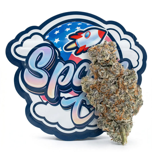 Strawberry Payton Space CBD France