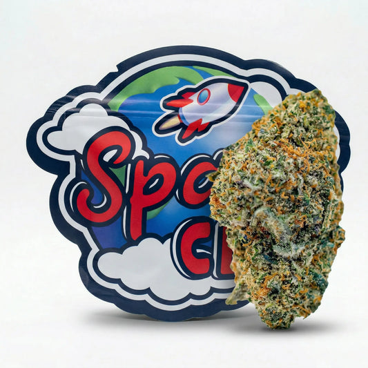 DR Jekyll CBD+ Space CBD France