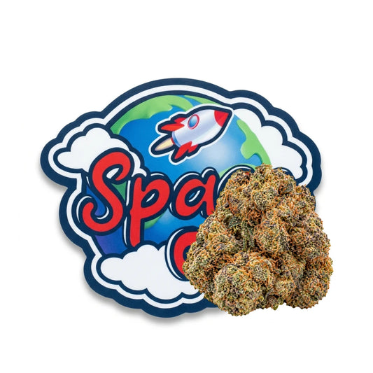 Amnesia CBD — pochon Space CBD
