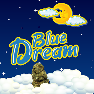 Fleur cbd Blue Dream