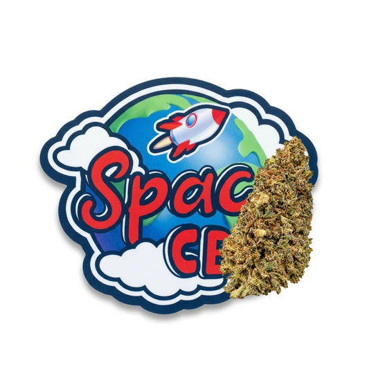 Legendary CBD — pochon Space CBD