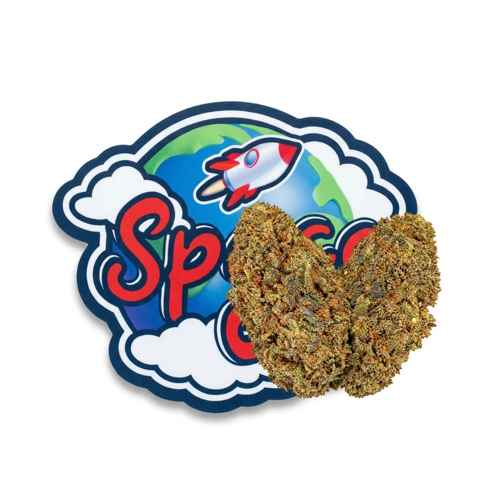Pink Panty Dropper CBD+
