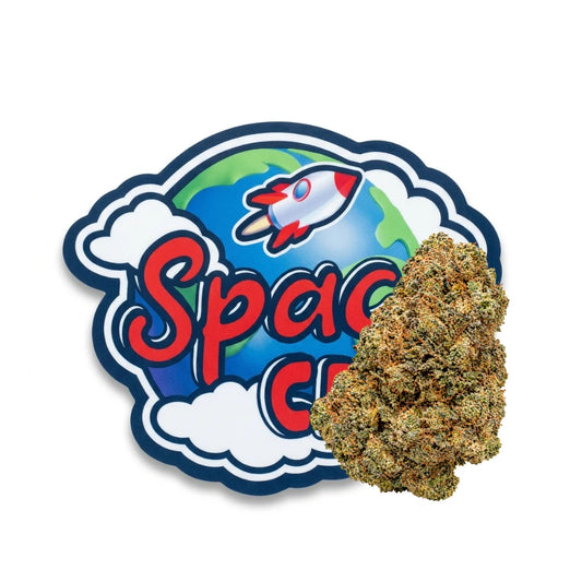 Purple Dino CBD — pochon Space CBD