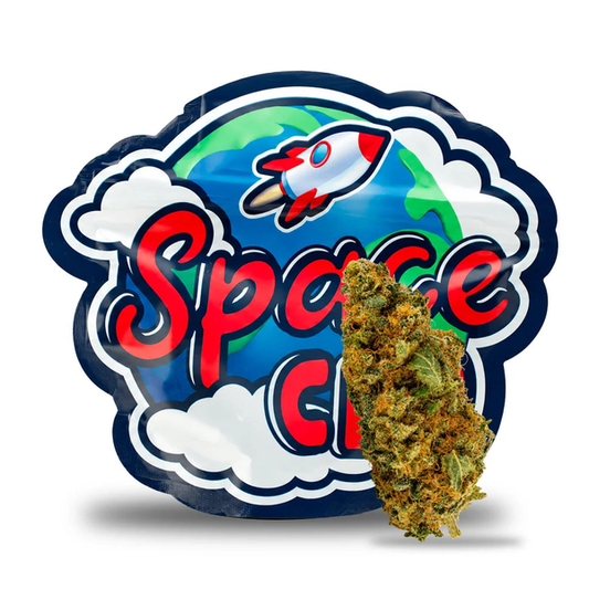 Zenitsy CBD — fleur de CBD, Space CBD France