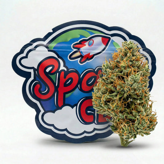 Wedding Cake CBD Space CBD France
