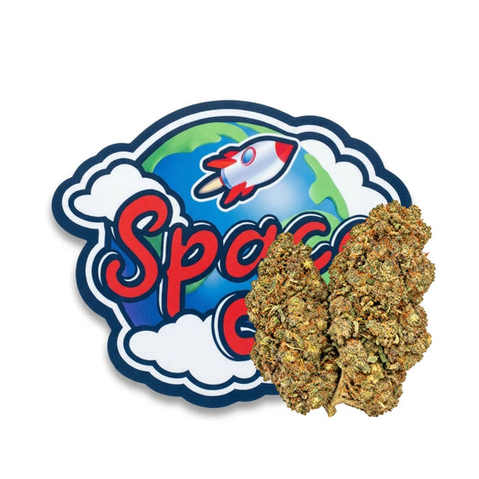 Zoap CBD+ — pochon Space CBD